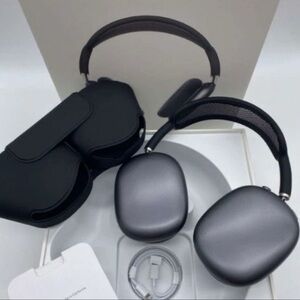 Apple Headset in Black and Gray